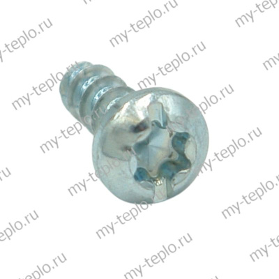 Винт T20 D4x10 8.8 для котла Bosch WBN6000-24C (vint410WBN600024C)